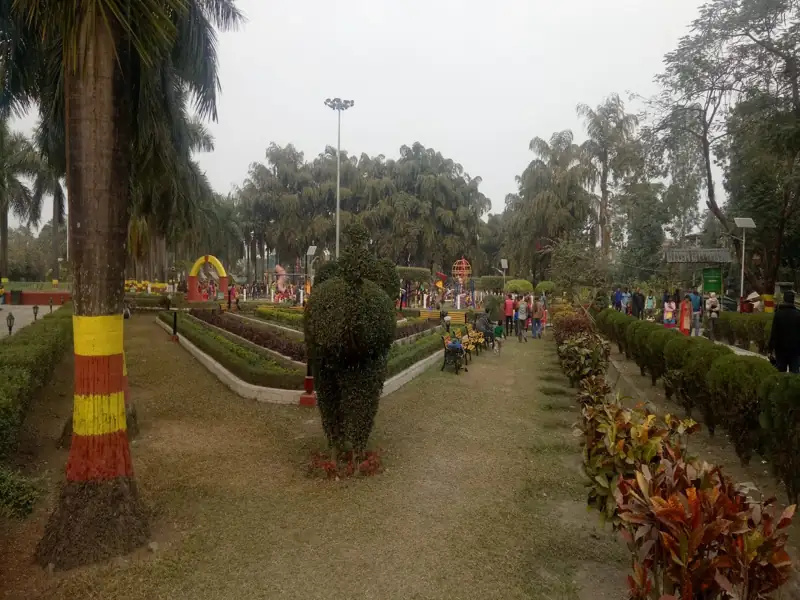 New Jalpaiguri to Champasari Cab
